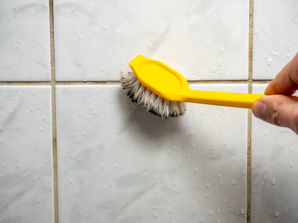 Best White Mold Remediation in Roseland, NJ