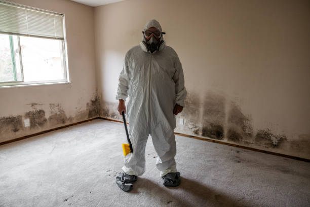 Best DIY Mold Remediation Support Services in Roseland, NJ